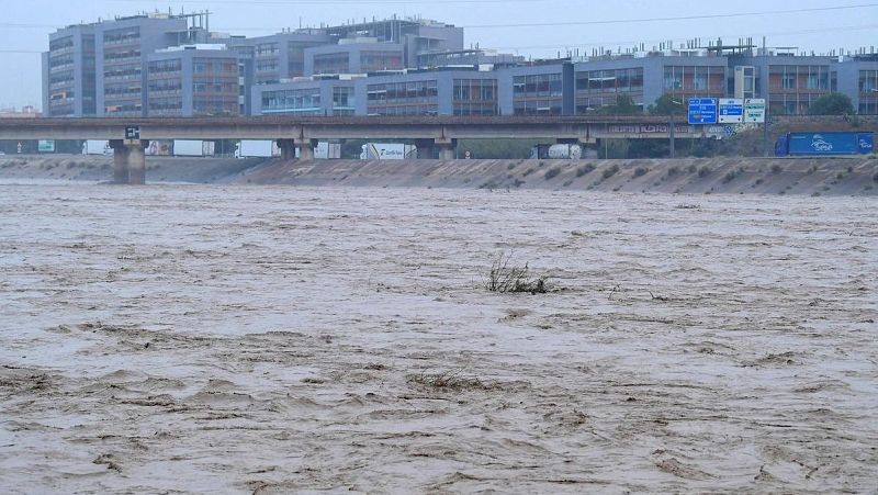 Vida Verda - Què hi ha darrera la DANA, COP16 i com Renaturalitzar-nos - Escoltar Ara