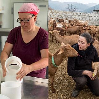 Elaboración artesanal de queso y pastoreo en el siglo XXI