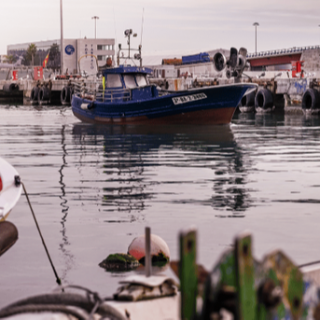 Presentem l'empresa catalana que genera ecosistemes al mar