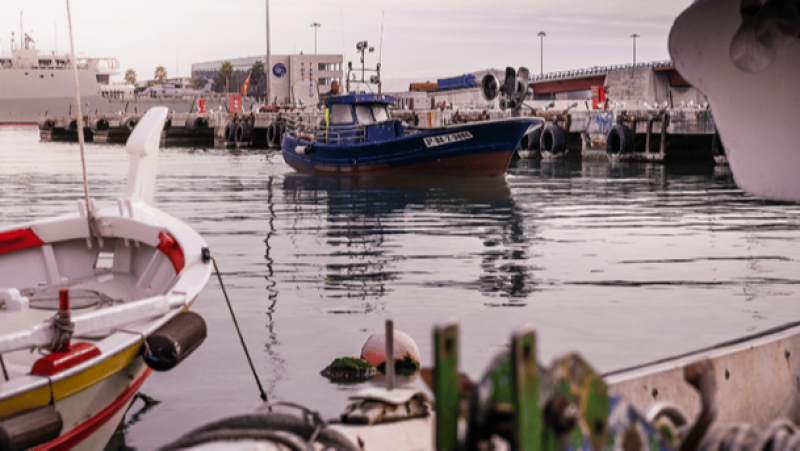 L'Entrellat - Presentem l'empresa catalana que genera ecosistemes al mar