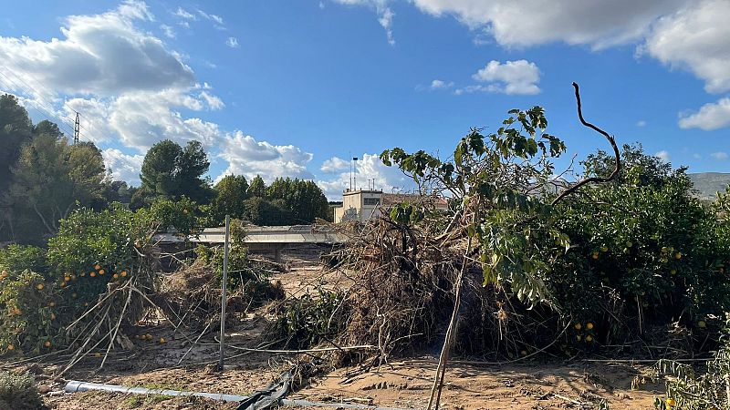 14 horas - La DANA deja a Bugarra sin puentes para ir a recoger naranjas - Escuchar ahora