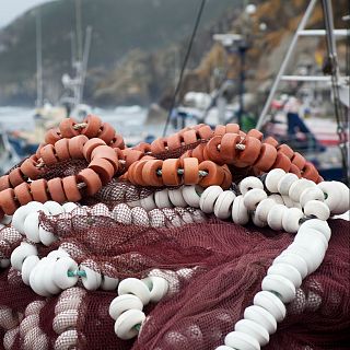 Españoles en la mar