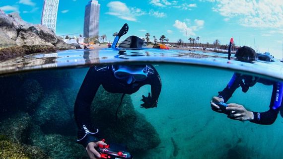 Clou la BioMARató amb descobriments que alerten sobre l’escalfament del mar