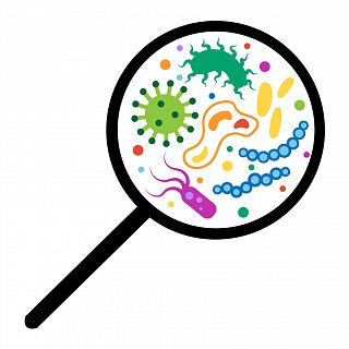 �Por qu� la bolsa de basura huele tan mal?