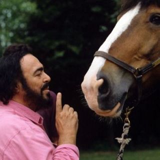 El caballo de Pavarotti