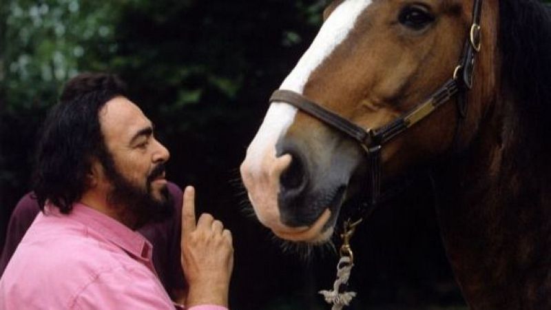 Sinfona de la maana: El caballo de Pavarotti - escuchar ahora