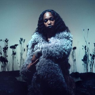 Un lazo m�s grande para John Glacier