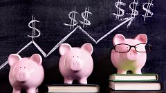 Economía de bolsillo - ¿Saber de finanzas equivale a tomar buenas decisiones? - 17/11/24