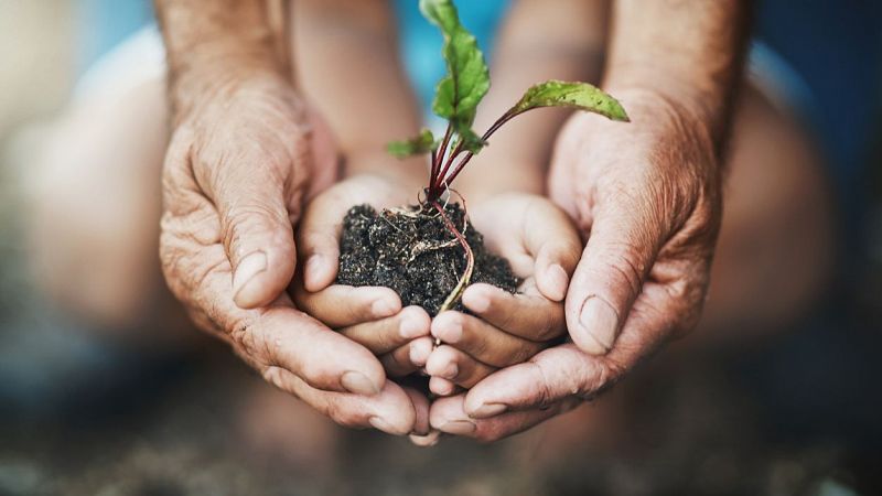 Españoles en el exterior - Soy ecologista - 24/11/24 - Escuchar ahora