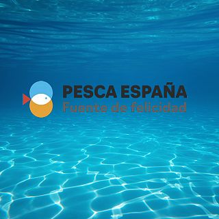 Españoles en la mar