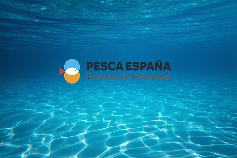 Espaoles en la mar - Talleres, campaas y estudios para poner en valor la pesca - 20/11/24 - escuchar ahora