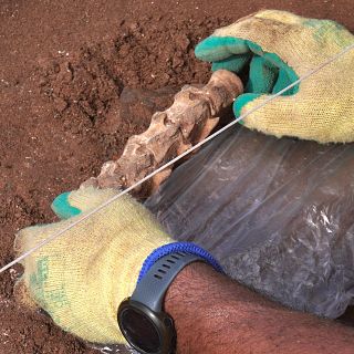 Tenerife - Nueva excavación en el yacimiento romano de Isla de Lobos