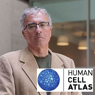 Avance hacia el 'Google Maps' de las c�lulas humanas