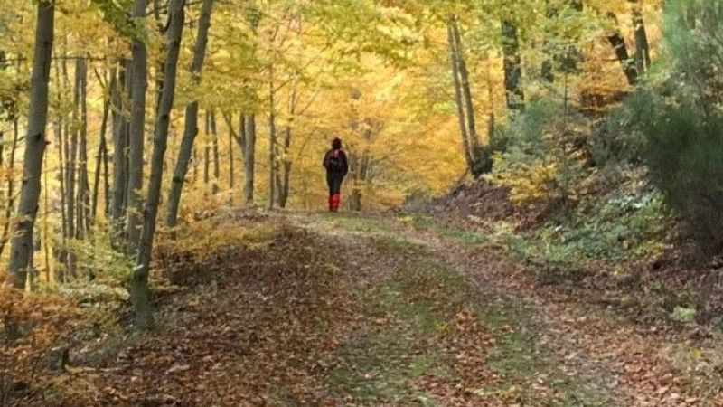 Entre dos luces - Hojas de otoño en el álbum musical de Irene Martin Guillén - 22/11/24