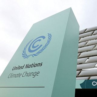 Recta final COP29: sin acuerdo sobre financiación climática