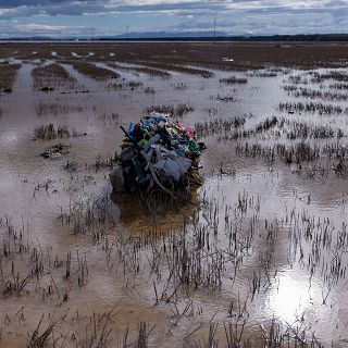 Sanchis: "Los residuos están llegando a los sistemas naturales"