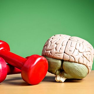 Cerebro y ejercicio f�sico
