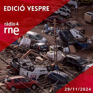 Edici Vespre - 29/11/2024