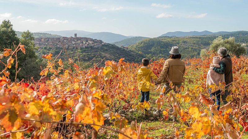 Global 5 - Ruta del Vino Sierra de Francia (I): formada por 80 - 02/12/24 - Escuchar ahora