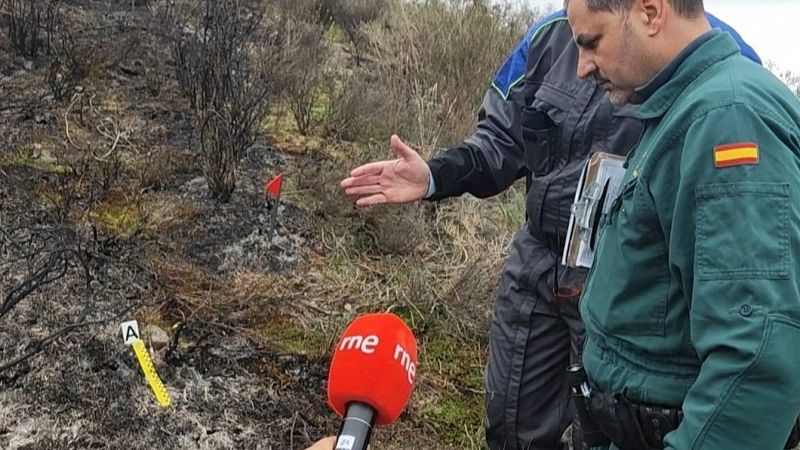 Reportajes emisoras - Zamora - SEPRONA y SEPNA: cómo enfrentar delitos medioambientales en la raya portuguesa - 03/12/24 - Escuchar ahora