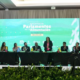 Pacto contra el hambre en la reunión de la CELAC de Honduras