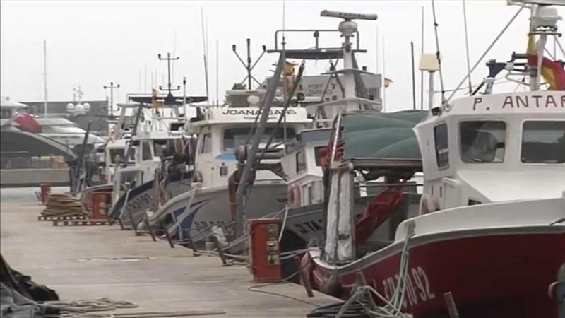 L'entrellat - Antoni Abad, president de la Federaci Nacional Catalana de Confraries de Pescadors: "els cientfics de la UE van molt errats"