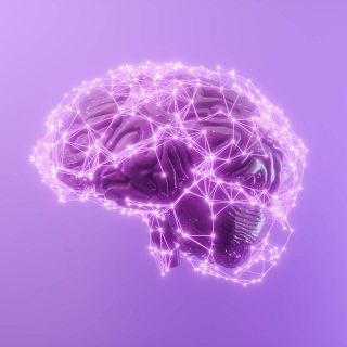 Nuevos avances para conocer el cerebro humano