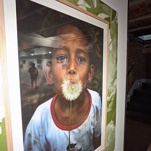 Reportajes 5 continentes - Reportajes 5 continentes - Fotografía para para la Paz en Colombia - Escuchar ahora