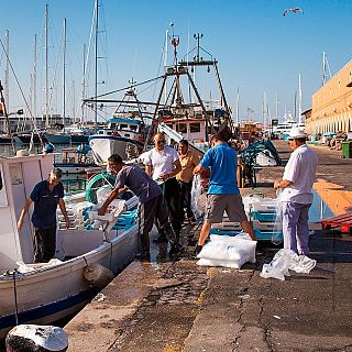 La importancia de las cofradías de pescadores en España