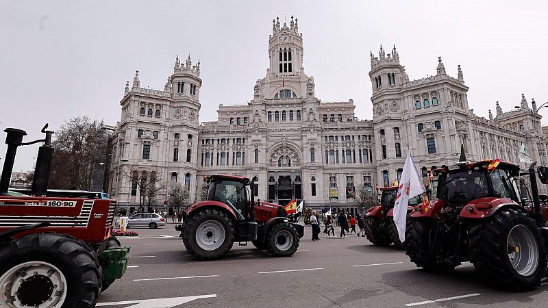 L'Entrellat - "El tractat de Mercosur posa en risc la seguretat alimentria dels ciutadans europeus"