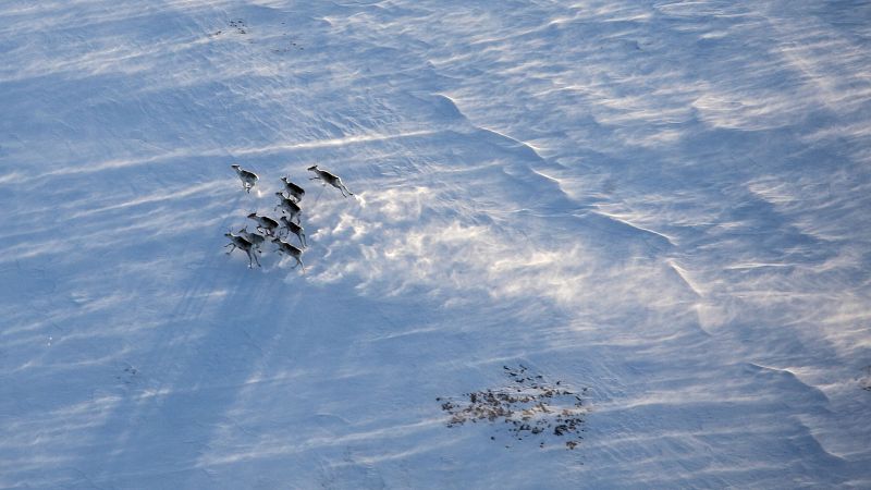 Crónicas de un nómada - La Laponia noruega - 22/12/24 - Escuchar ahora