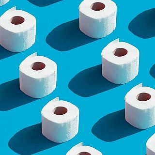 La psicosis del papel higi�nico