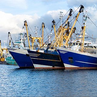 Españoles en la mar