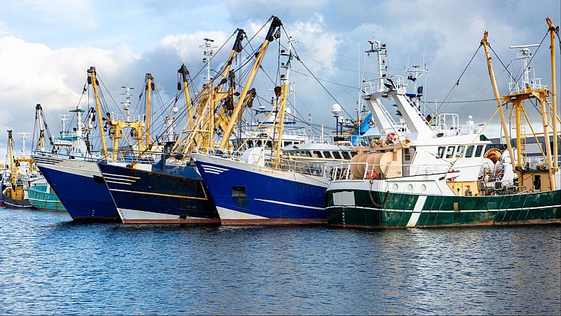 Espaoles en la mar - LDAC, el rgano asesor de la UE sobre los asuntos pesqueros - 26/12/24 - escuchar ahora