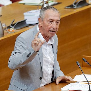 Baldoví: "La gente pide responsabilidad y que llegue la ayuda"