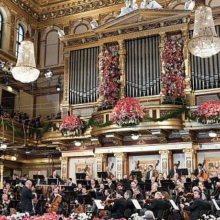 La previa del Concierto de A�o Nuevo y Cildo Meireles