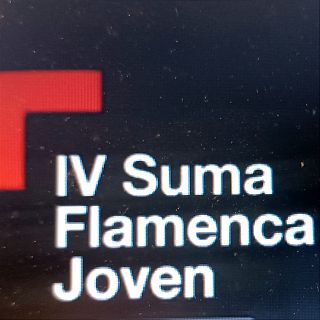 Suma flamenca joven II