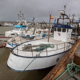 Españoles en la mar