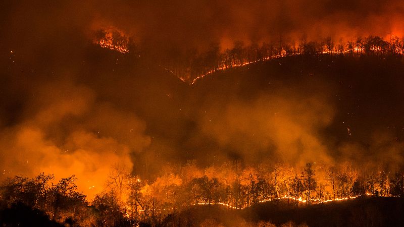 Planeta Vivo - Los ángeles en llamas - 15/01/2025 - Escuchar ahora