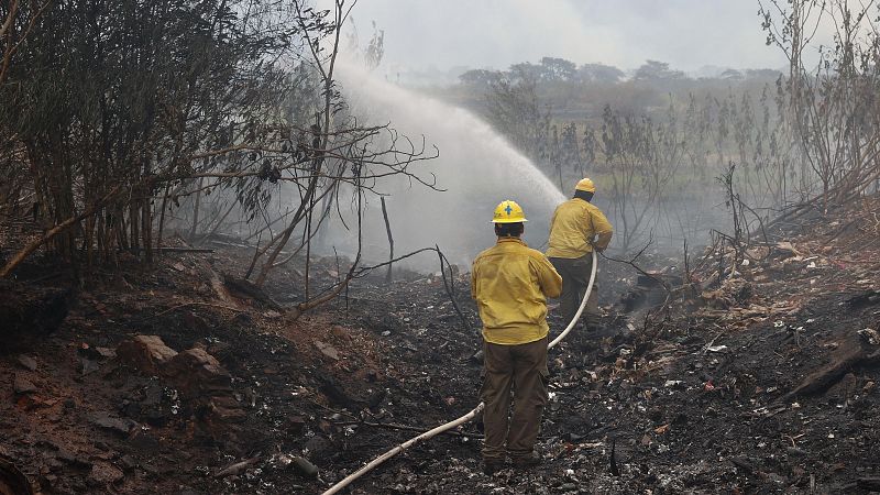 California, Australia y el sur de Europa tardan más en recuperarse de los incendios: "Nuestros ecosistemas tienen más sed" - Escuchar ahora