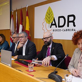 Ponferrada - Lucha contra la despoblación