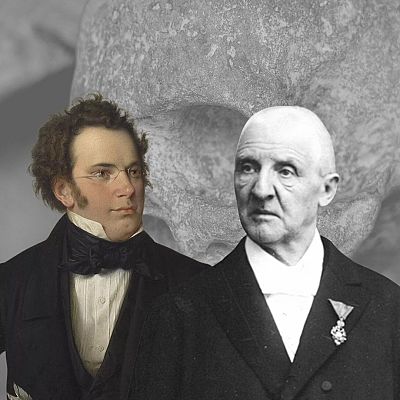 Sinfonía de la mañana: Bruckner visita Schubert - escuchar ahora