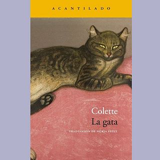 Hoy empieza todo 2