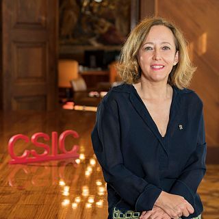 "Solamente un 32% de los institutos del CSIC están dirigidos por mujeres"