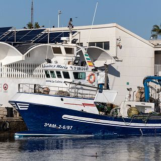 Futuro sostenible para la pesca andaluza