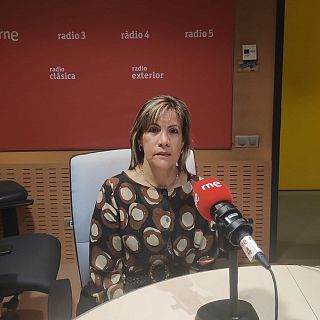 "Estamos rodeados de plástico y, por ende, de contaminación por microplásticos"