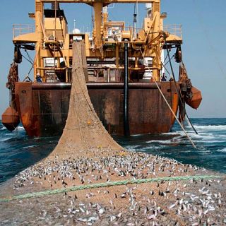 Conocemos más sobre la pesca de arrastre