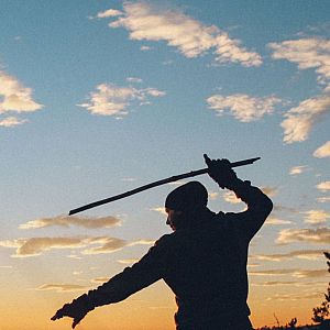 Memoria de delfín - Ninjas: ¿Qué hay de mito y qué de realidad? - escuchar ahora