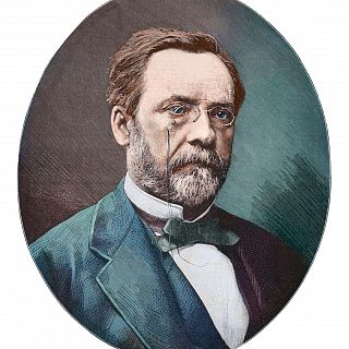 La generación espontánea