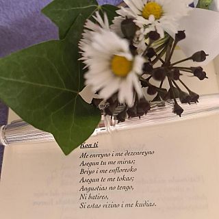 Poesía Sefardí, de Izmir a Buenos Aires